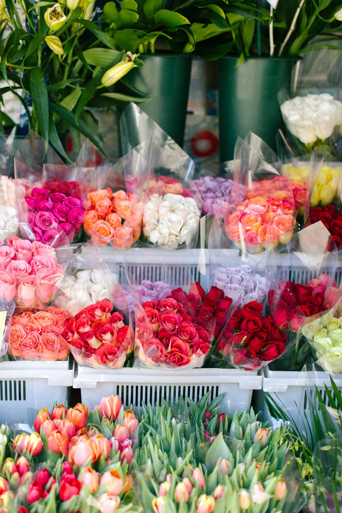 5 Ideas for a Creative Breakthrough