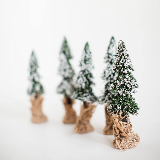 DIY Ornament 